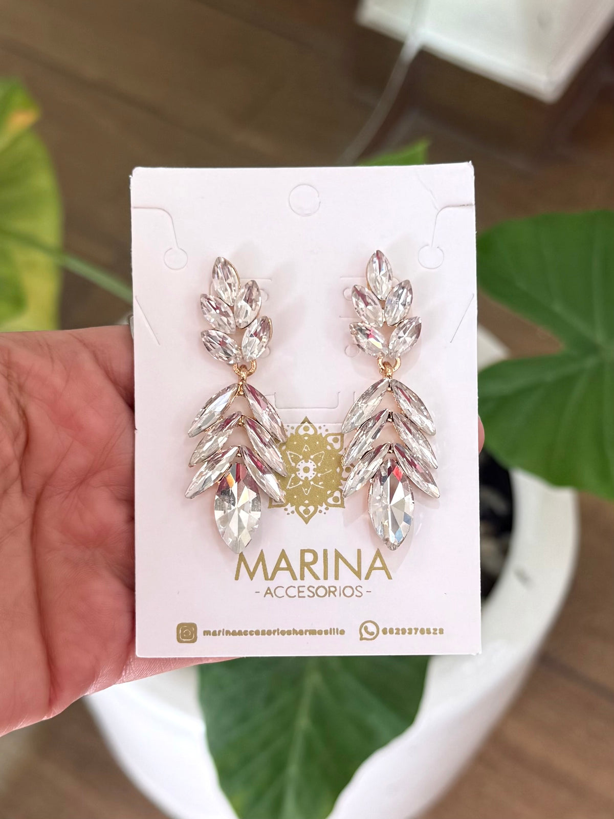 Aretes de pedrería platas