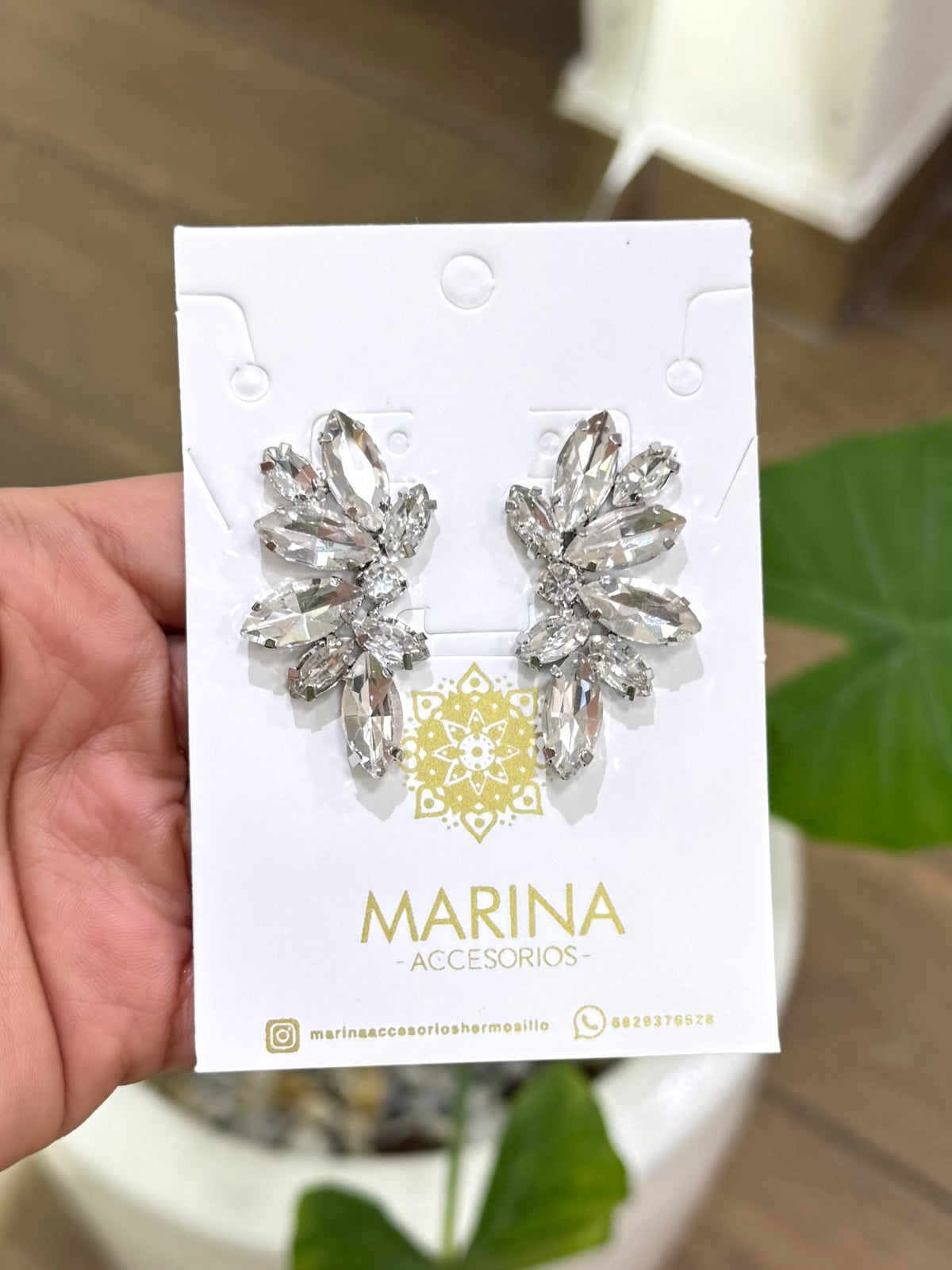 Aretes de pedrería platas