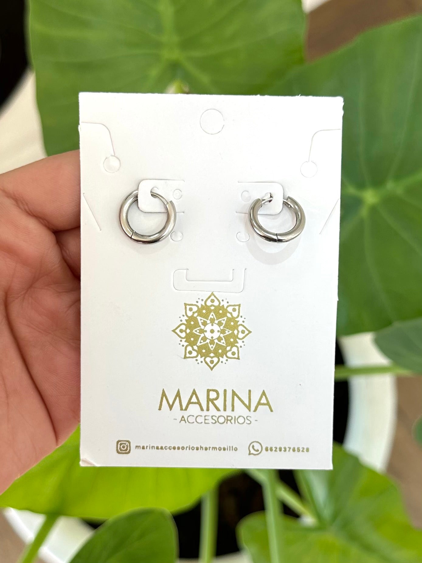 Arracada plata