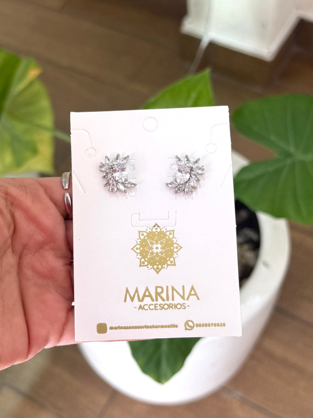Aretes de pedrería platas