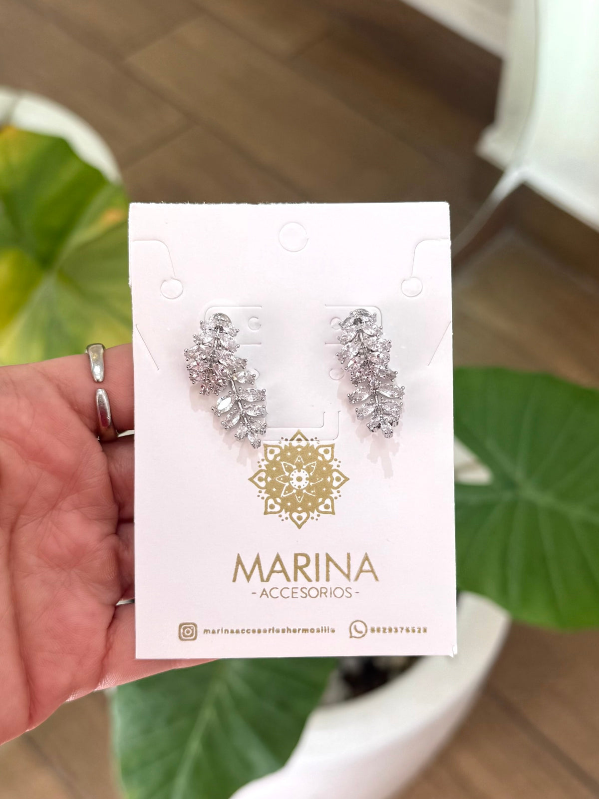 Aretes de pedrería platas