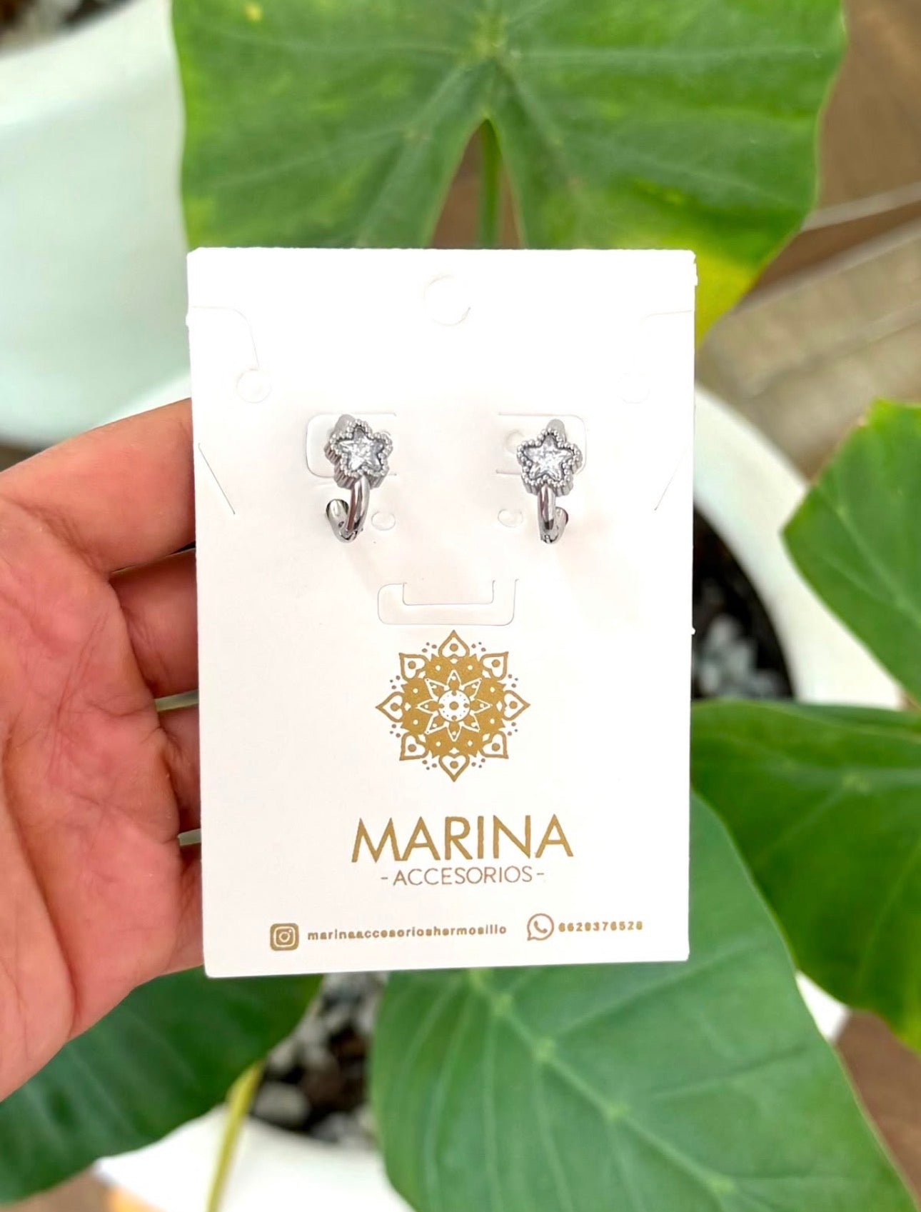 Arracada plata