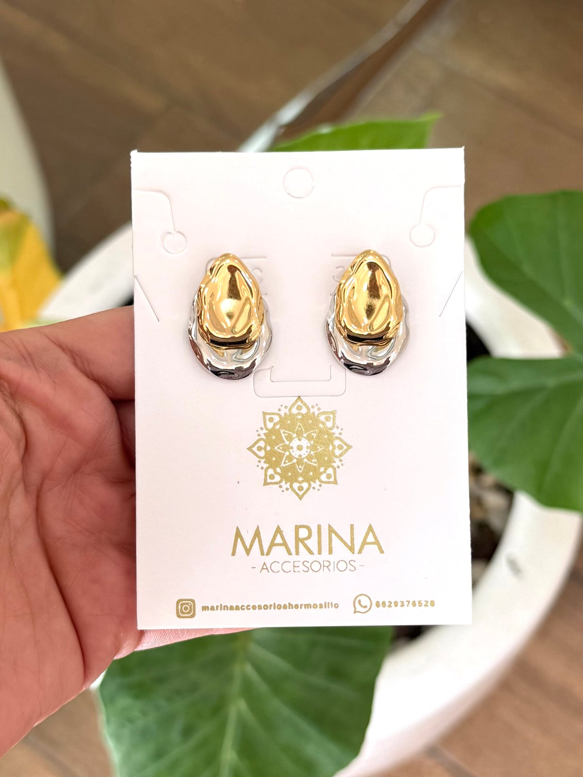 Arete casual bicolor