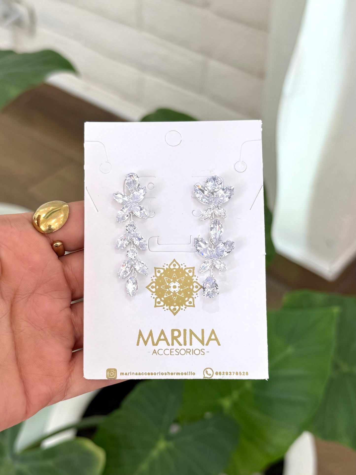 Aretes de pedrería platas