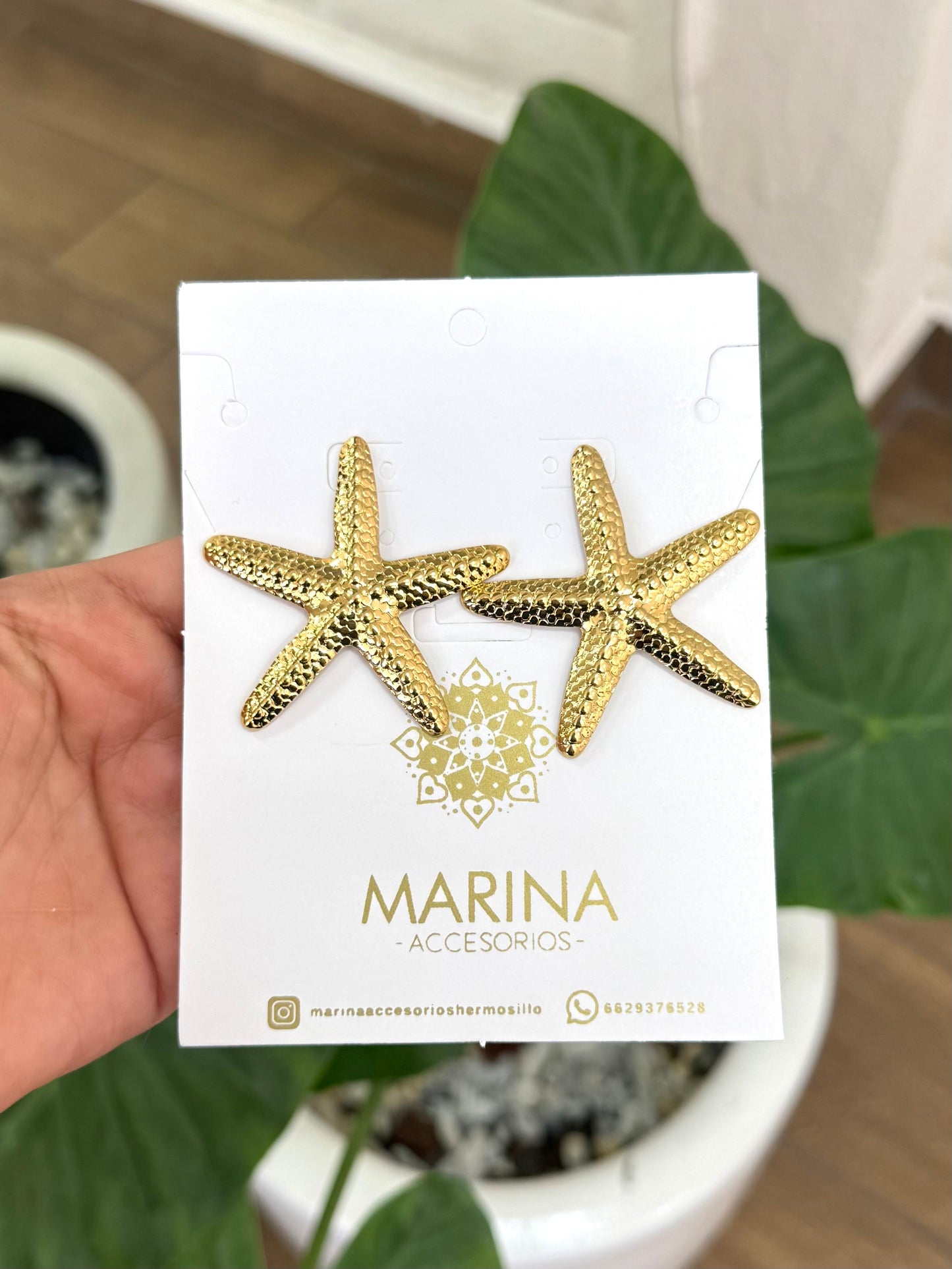 Arete casual estrella