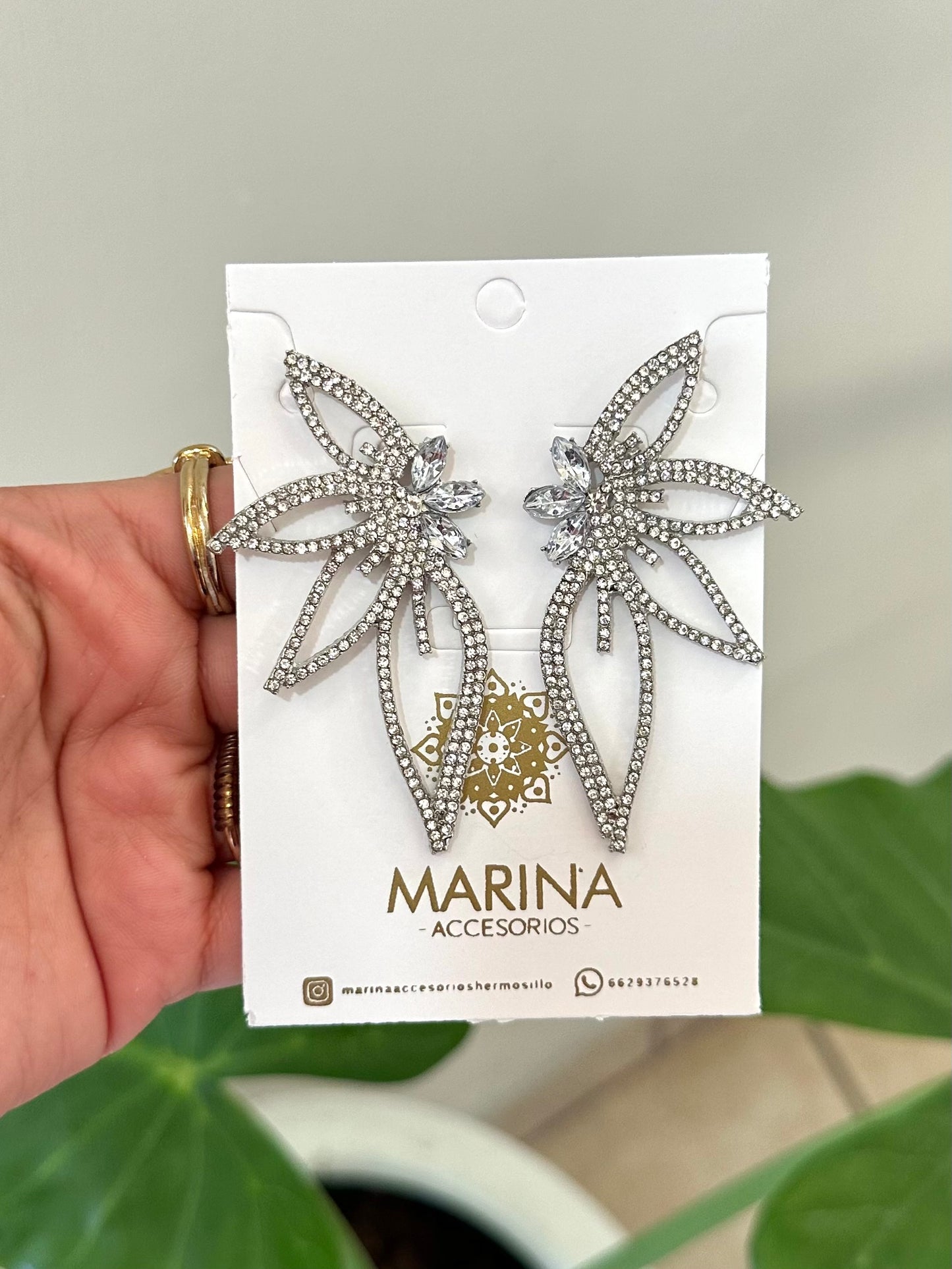 Aretes de pedrería platas