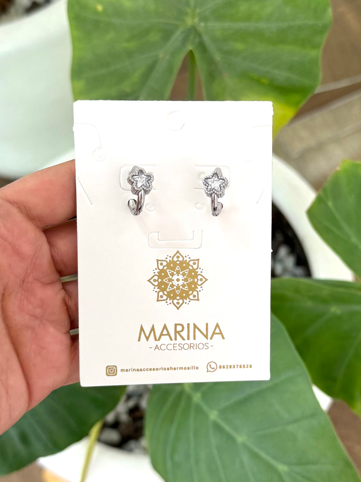 Arracada estrella