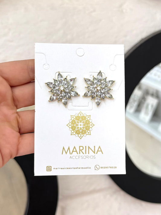 Aretes de pedrería platas