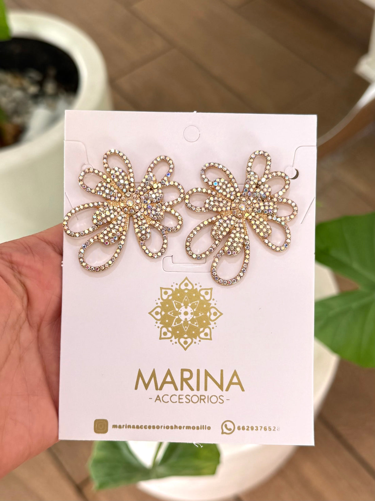 Aretes de pedrería tornasol