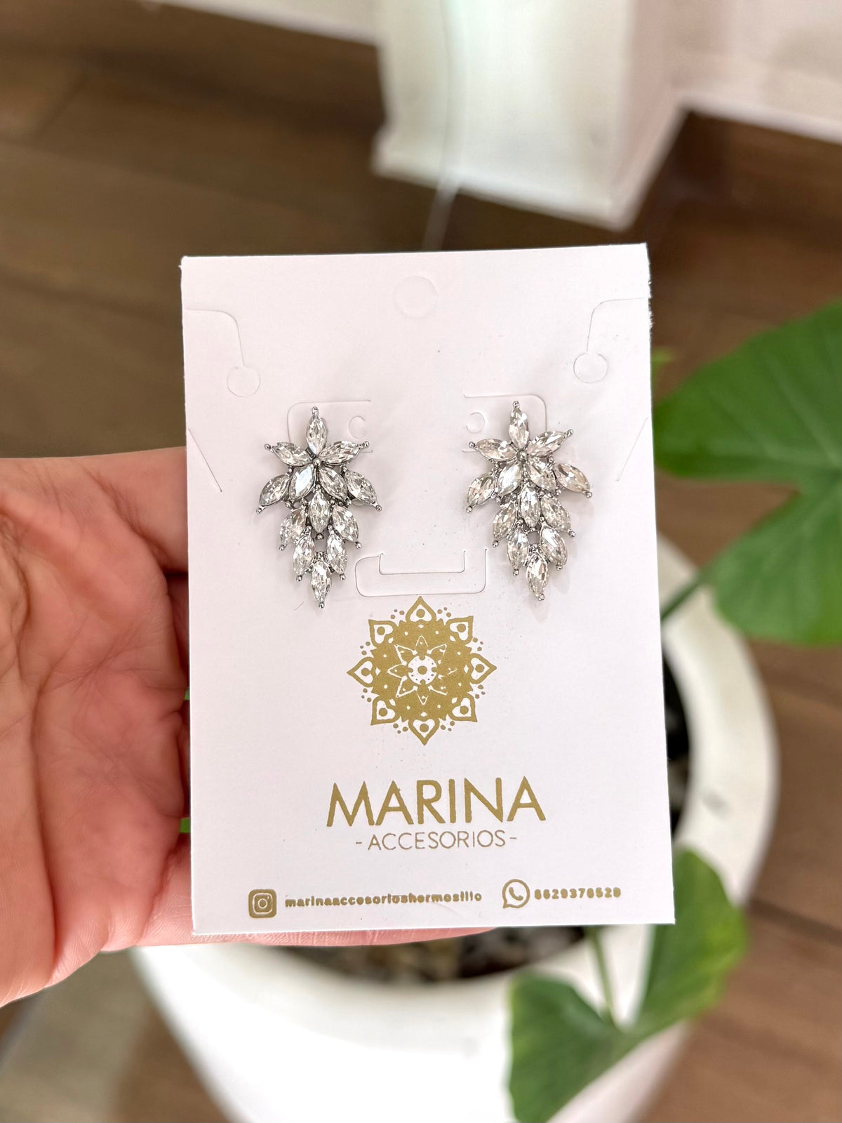 Aretes de pedrería platas
