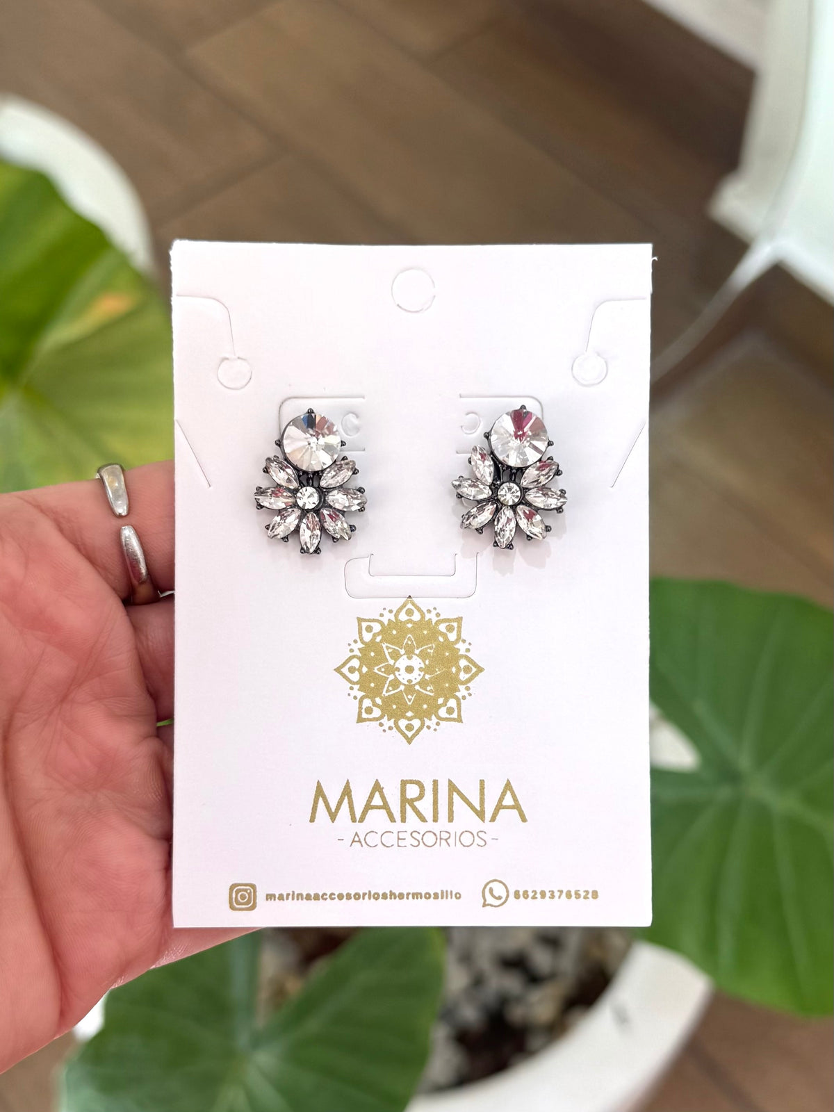 Aretes de pedrería platas