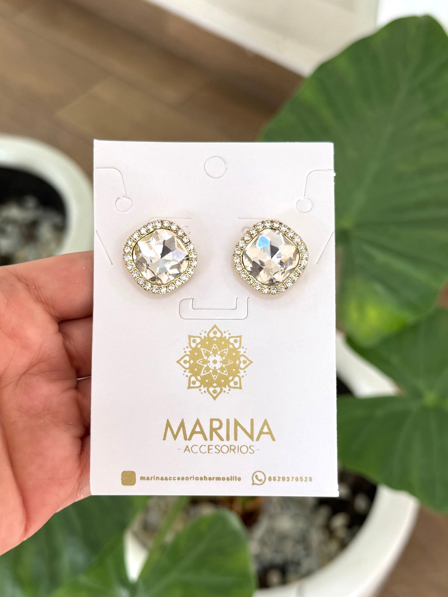Aretes de pedrería platas