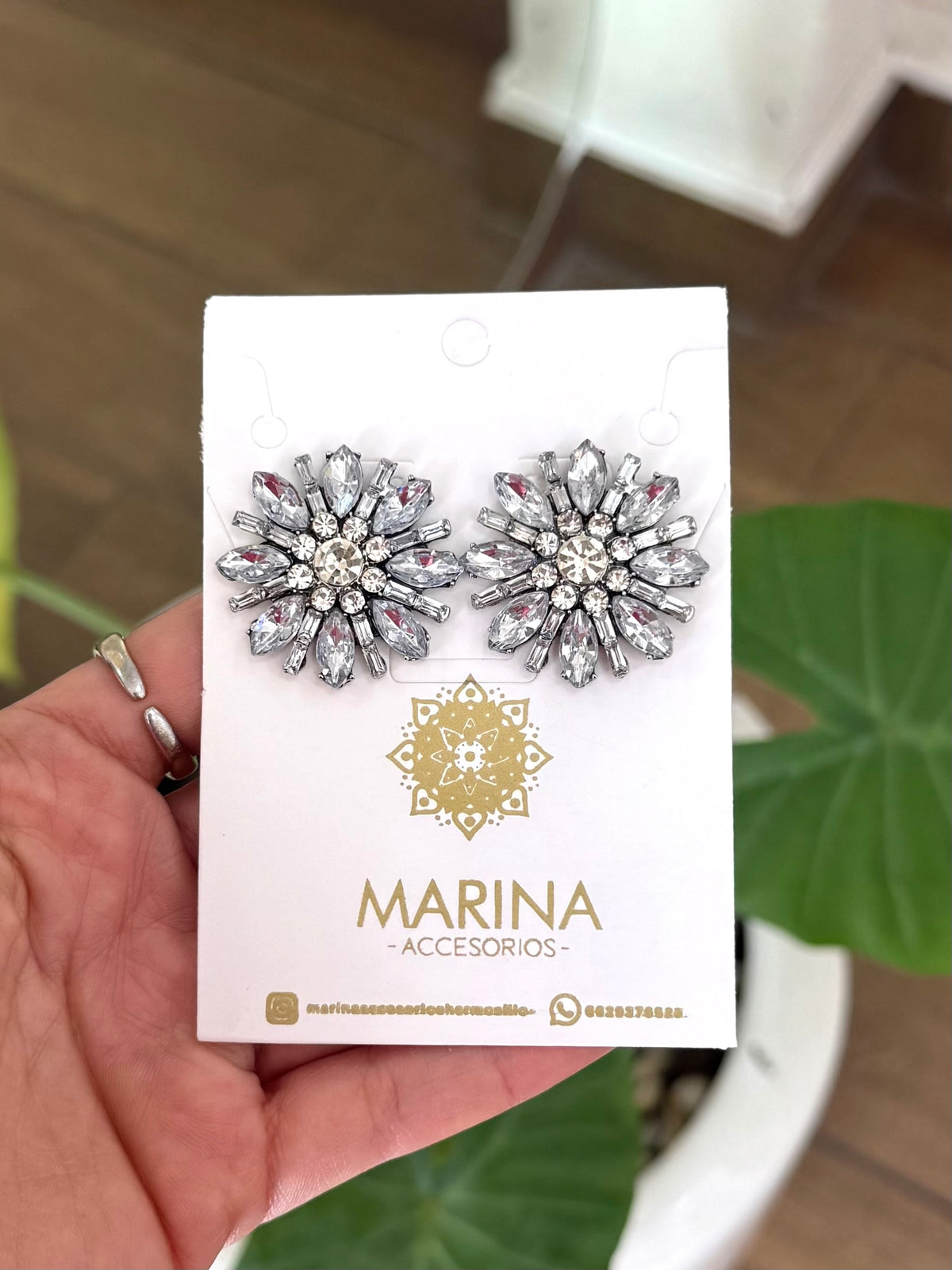 Aretes de pedrería platas