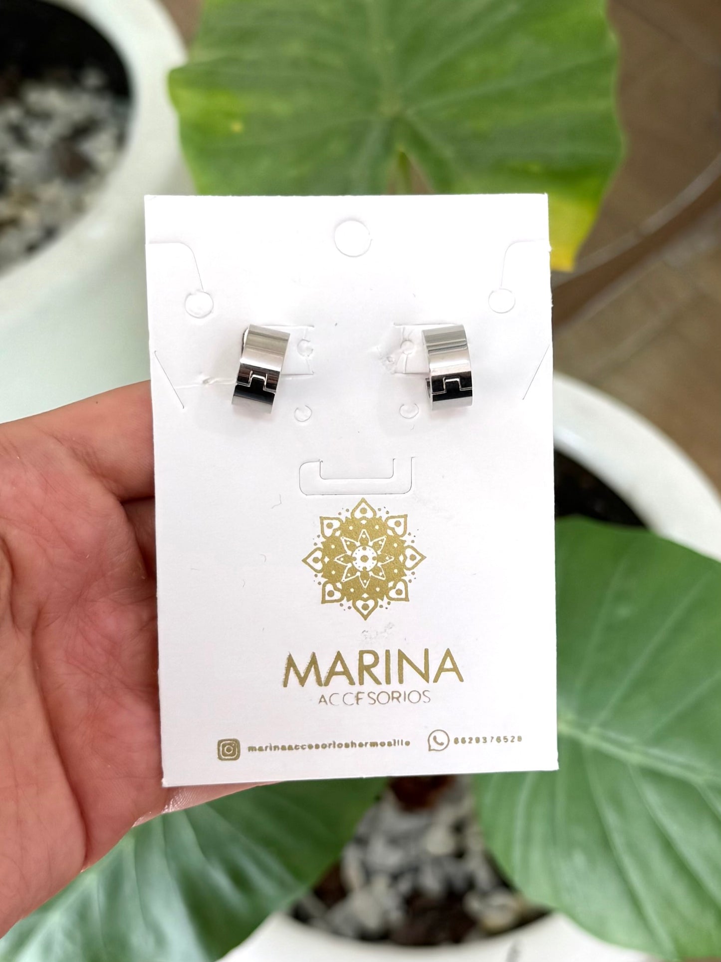 Arracada plata