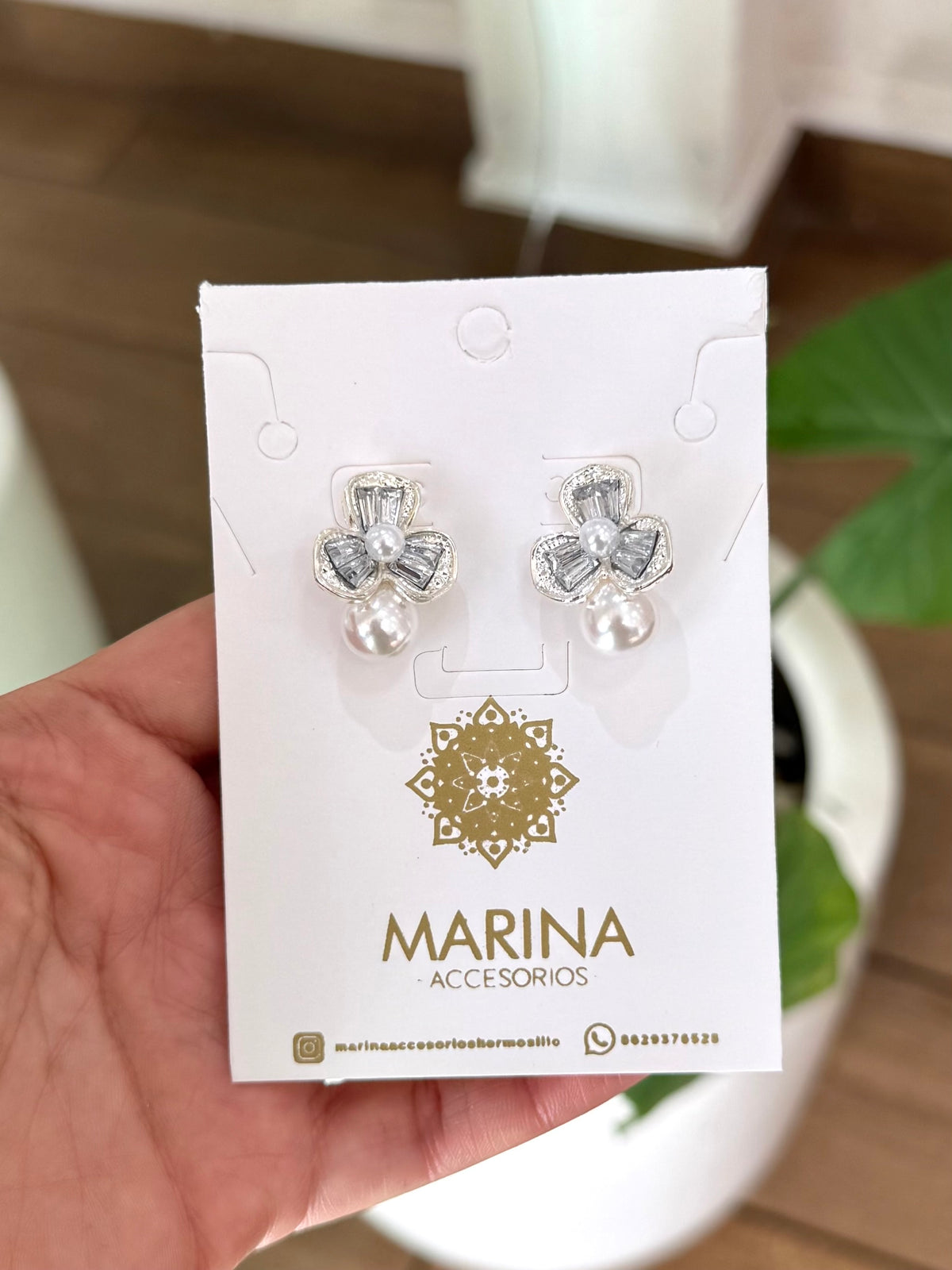 Aretes de pedrería platas