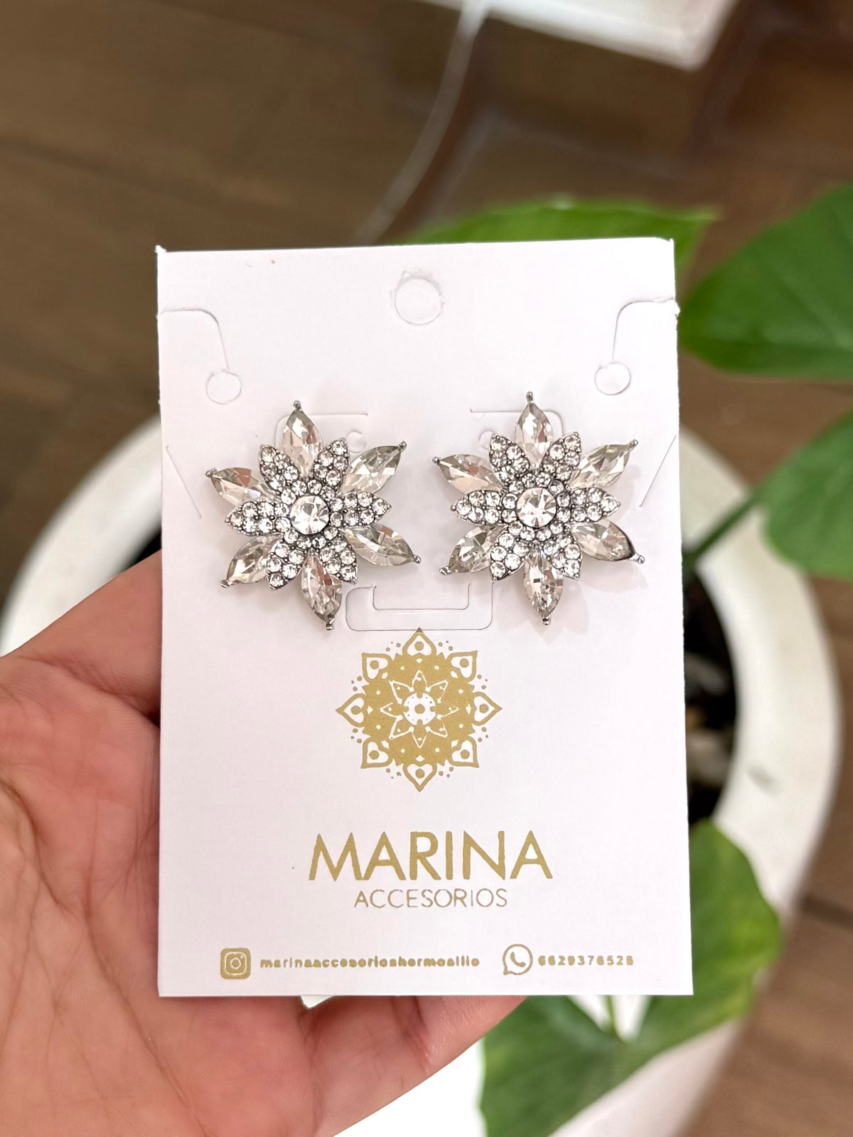 Aretes de pedrería platas